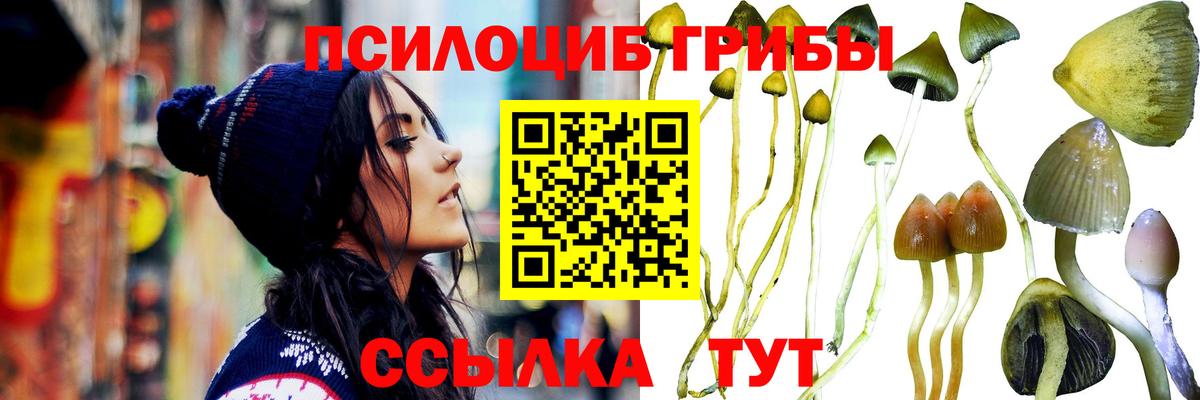 Псилоцибиновые грибы мухоморы Донской