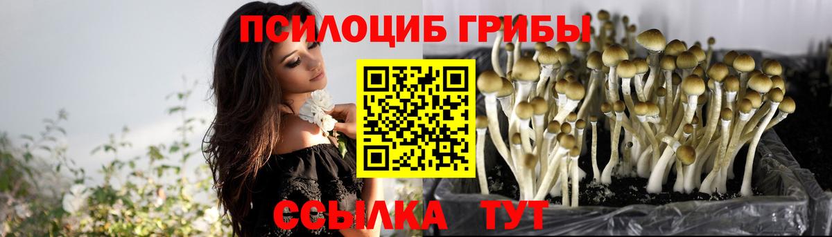 Донской  Псилоцибиновые грибы Magic Shrooms  Вход с VPN 